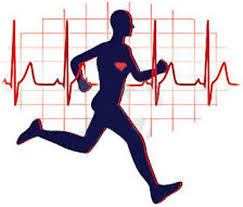 اثرات ورزش بر سلامت قلب